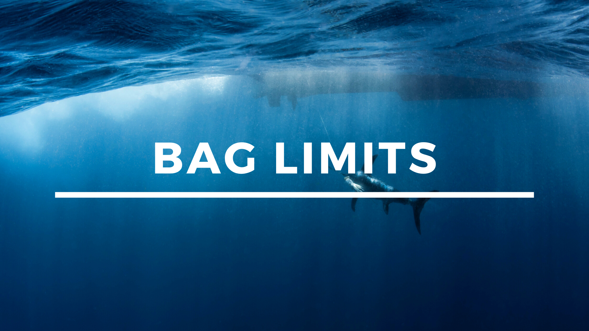 Bag Limits Introductory Presentation