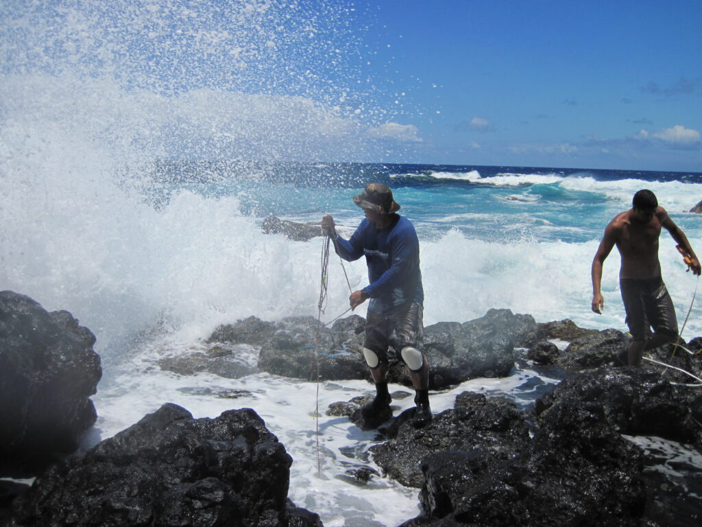Opihi Monitoring East Maui